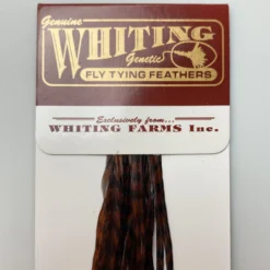 Whiting 100 Pack Dry Fly Hackle - Grizzly Dyed Coachman Brown - 12