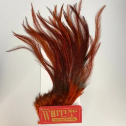 Whiting Coq De Leon Euro Nymph Tailing Pack -Fishing Gear Shop IMG 6093 scaled