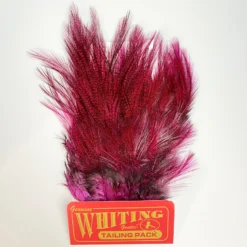 Whiting Coq De Leon Euro Nymph Tailing Pack -Fishing Gear Shop IMG 6094 scaled