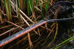 Fishpond Nomad Mid-Length Net - Slab - Limited Edition -Fishing Gear Shop slab2