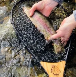 Hex Fly "Steel-Head" Solo Net -Fishing Gear Shop solonet3